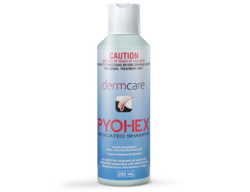 Dermcare PYOHEX Medicated